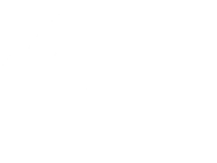 Chatbot